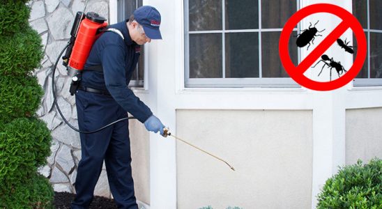 Konak Fare İlaçlama böcek ilaçlama ve haşere kontrolü — ilaclama-tr.com